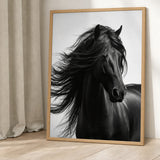 Black Horse Photography Modern Wall Art – Flowing Mane Portrait