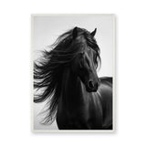 Black Horse Photography Modern Wall Art – Flowing Mane Portrait