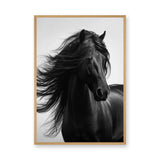 Black Horse Photography Modern Wall Art – Flowing Mane Portrait