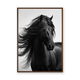 Black Horse Photography Modern Wall Art – Flowing Mane Portrait