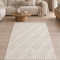 Boucle Modern Area Rug in a living room