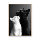 Cat Photography Modern Wall Art – Black and White Cats Nuzzling