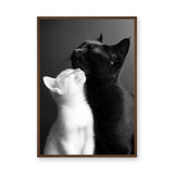 Cat Photography Modern Wall Art – Black and White Cats Nuzzling