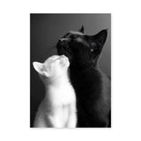 Cat Photography Modern Wall Art – Black and White Cats Nuzzling