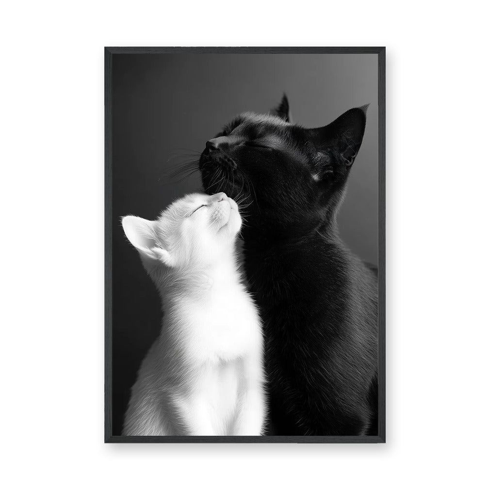 Cat Photography Modern Wall Art – Black and White Cats Nuzzling