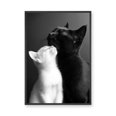 Cat Photography Modern Wall Art – Black and White Cats Nuzzling