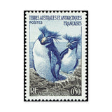 Crozet Penguin Stamp Vintage Wall Art – French Antarctic Postage Design