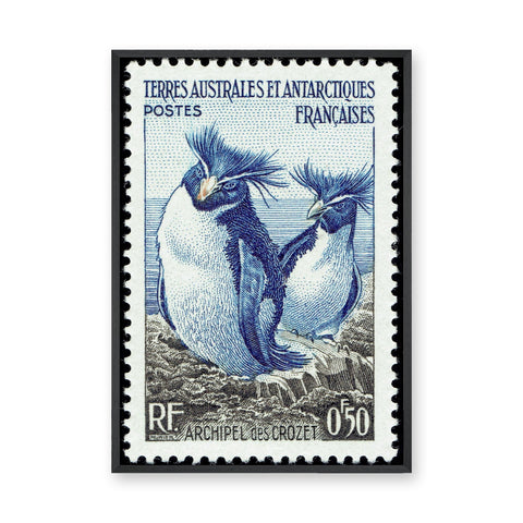 Crozet Penguin Stamp Vintage Wall Art – French Antarctic Postage Design