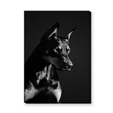 Doberman Portrait Modern Wall Art – Black-and-White Dog Photography