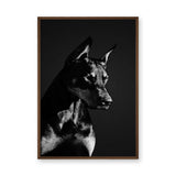 Doberman Portrait Modern Wall Art – Black-and-White Dog Photography