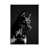 Doberman Portrait Modern Wall Art – Black-and-White Dog Photography