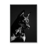 Doberman Portrait Modern Wall Art – Black-and-White Dog Photography
