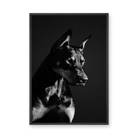 Doberman Portrait Modern Wall Art – Black-and-White Dog Photography