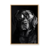 Dog Photography Modern Minimalist Wall Art – Black Dog With Round Glasses