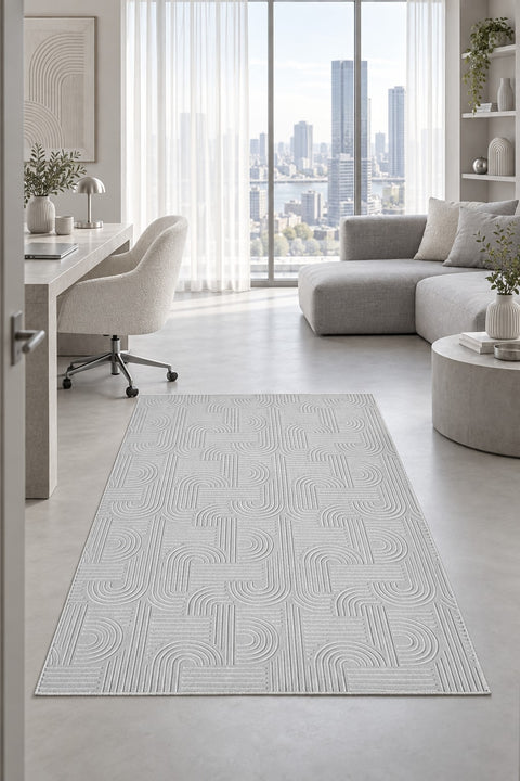 Embossed Modern Area Rug in a office