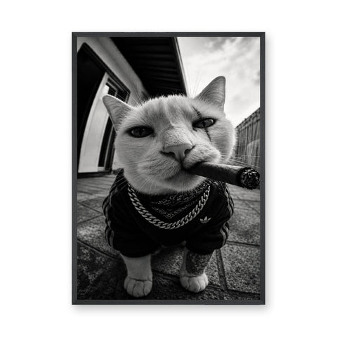 Gangster Cat Pop Art Wall Art – Black and White Streetwear Cat Print