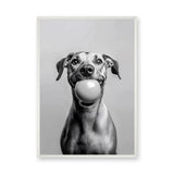 Happy Dog Modern Wall Art – Black and White Portrait With Ball