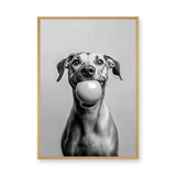 Happy Dog Modern Wall Art – Black and White Portrait With Ball