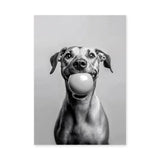 Happy Dog Modern Wall Art – Black and White Portrait With Ball