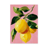 Lemon Botanical Modern Wall Art – Pink Painterly Citrus Branch
