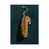 Leopard Modern Abstract Wall Art – Teal Contour Line Animal Print