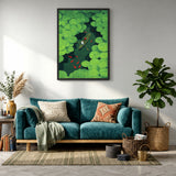 Lily Pond Boat Botanical Wall Art – Rowboat with Koi and Lily Pads