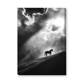 Lone Horse Silhouette Modern Wall Art – Dramatic Black-and-White Photo