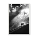 Lone Horse Silhouette Modern Wall Art – Dramatic Black-and-White Photo
