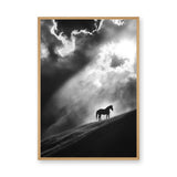 Lone Horse Silhouette Modern Wall Art – Dramatic Black-and-White Photo