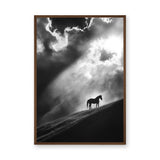 Lone Horse Silhouette Modern Wall Art – Dramatic Black-and-White Photo