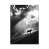 Lone Horse Silhouette Modern Wall Art – Dramatic Black-and-White Photo