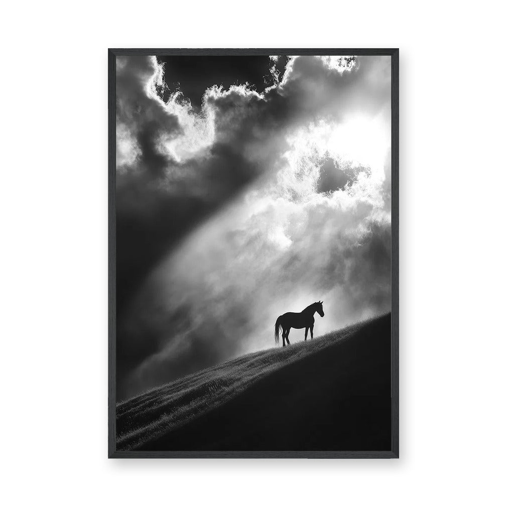 Lone Horse Silhouette Modern Wall Art – Dramatic Black-and-White Photo