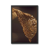 ___m_o_n___ Golden Leaf Aesthetic Home Art Décor Poster Print