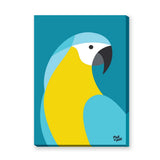 Macaw Parrot Modern Wall Art – Blue and Yellow Bird on Teal