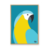 Macaw Parrot Modern Wall Art – Blue and Yellow Bird on Teal