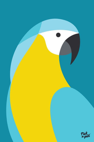 Macaw Parrot Modern Wall Art – Blue and Yellow Bird on Teal