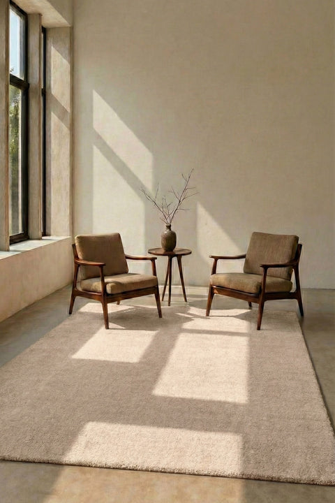 Mest Modern Plush Area Rug – Beige in a living room