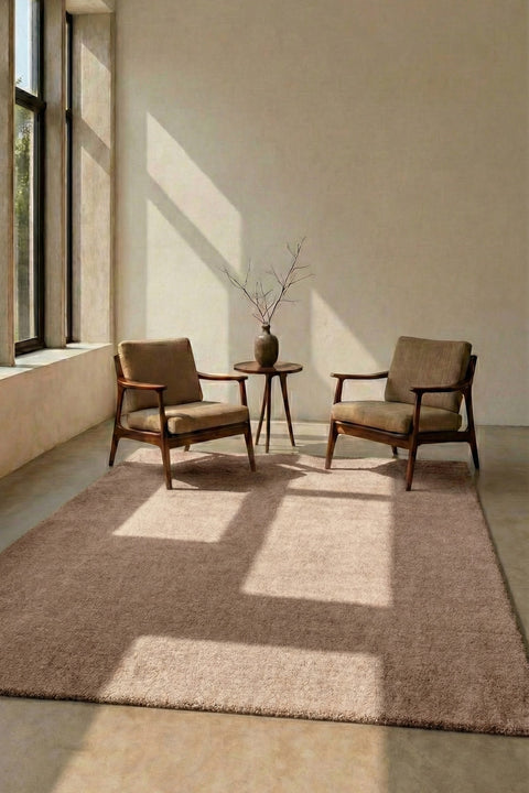 Mest Modern Plush Area Rug – Brown in a living room