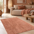 Mest Modern Plush Area Rug – Salmon in a living room