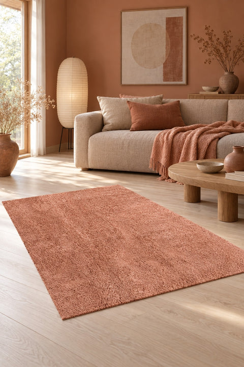Mest Modern Plush Area Rug – Salmon in a living room