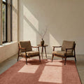 Mest Modern Plush Area Rug – Salmon in a living room