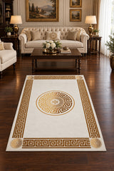 Modern Printed Area Rug in a living room