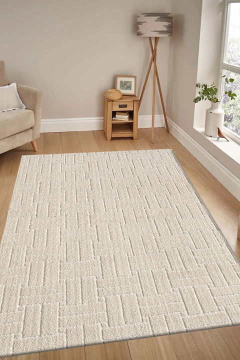 Moopy Modern Shag Area Rug in a living room