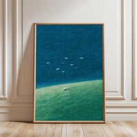 Person on Hill with Birds Aesthetic Landscape Wall Décor Poster