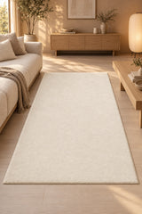 Plush Modern Area Rug in a living room