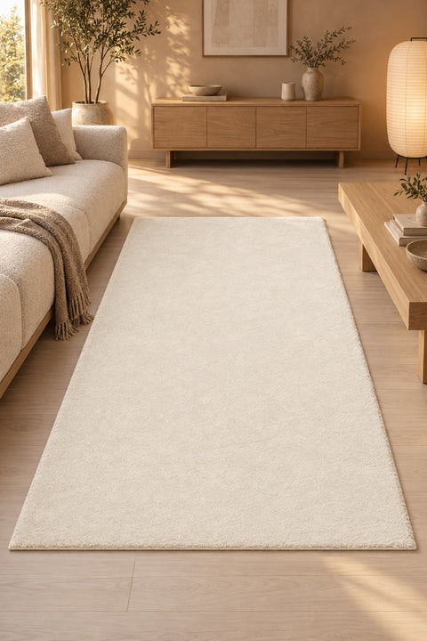 Plush Modern Area Rug in a living room