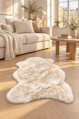 Plush Modern Area Rug in a living room
