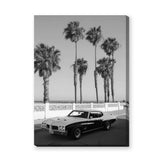 Pontiac GTO Coastal Vintage Wall Art – Palm Tree Seaside Photograph