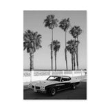 Pontiac GTO Coastal Vintage Wall Art – Palm Tree Seaside Photograph