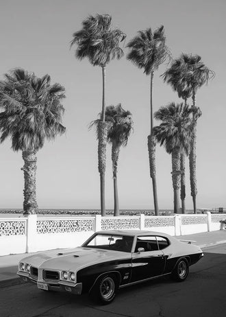 Pontiac GTO Coastal Vintage Wall Art – Palm Tree Seaside Photograph